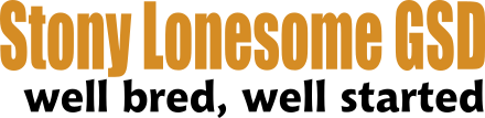 imgi_1_sl_logo_440x107